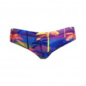  Funky Trunks Mens Classic Briefs Palm A Lot